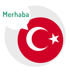 زبان ترکی استانبولیویژه